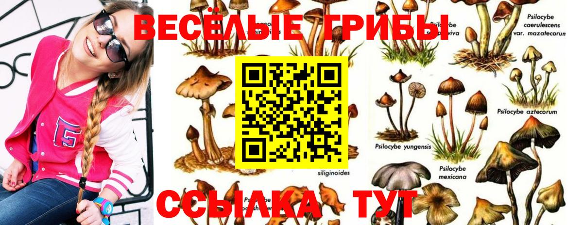 Псилоцибиновые грибы GOLDEN TEACHER  Вход с VPN  Воскресенск 
